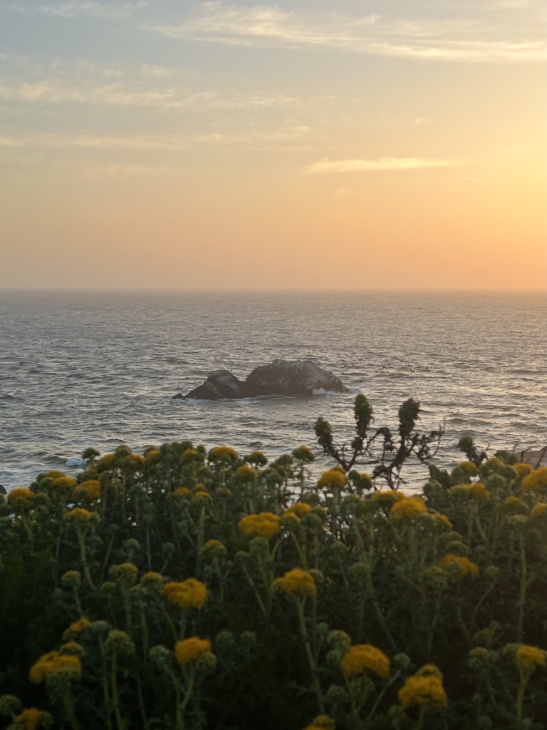 San Francisco Seal Rocks sunset views
