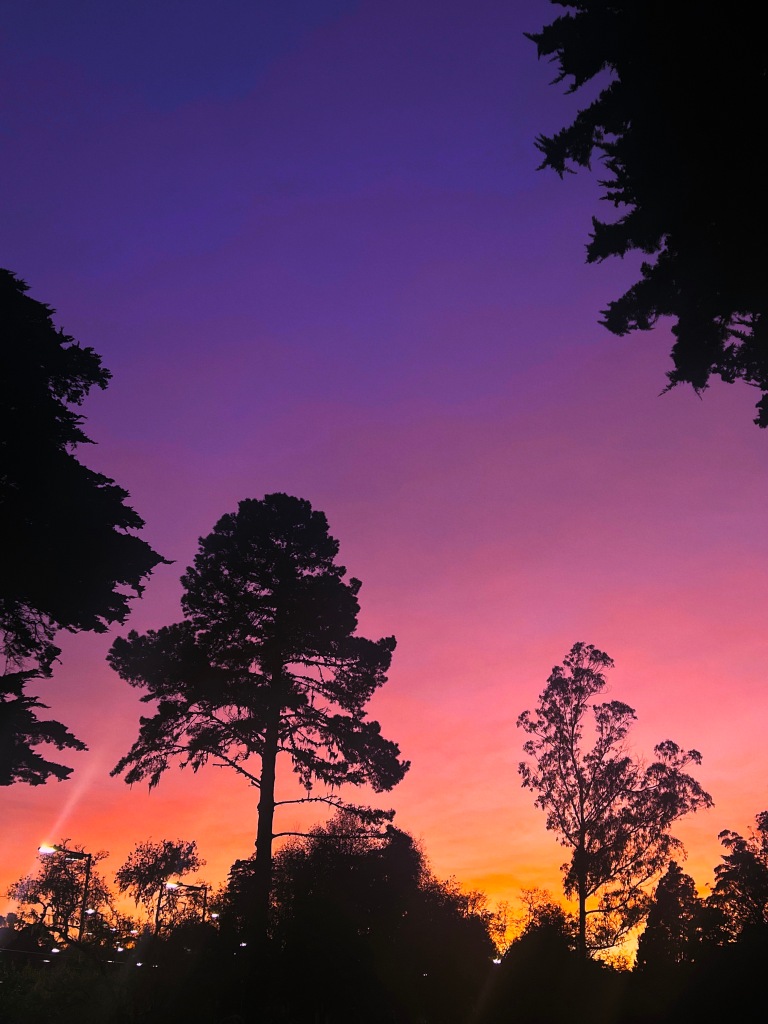 colorful sunset in Golden Gate Park