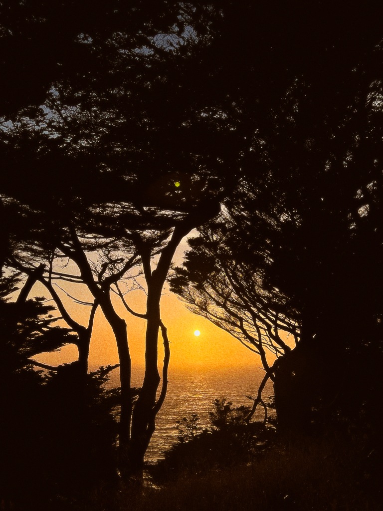 San Francisco Lands End sunset