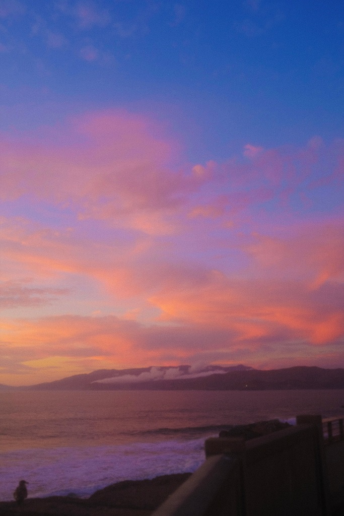 pink clouds at sunset viewed from the San Francisco Cliff House